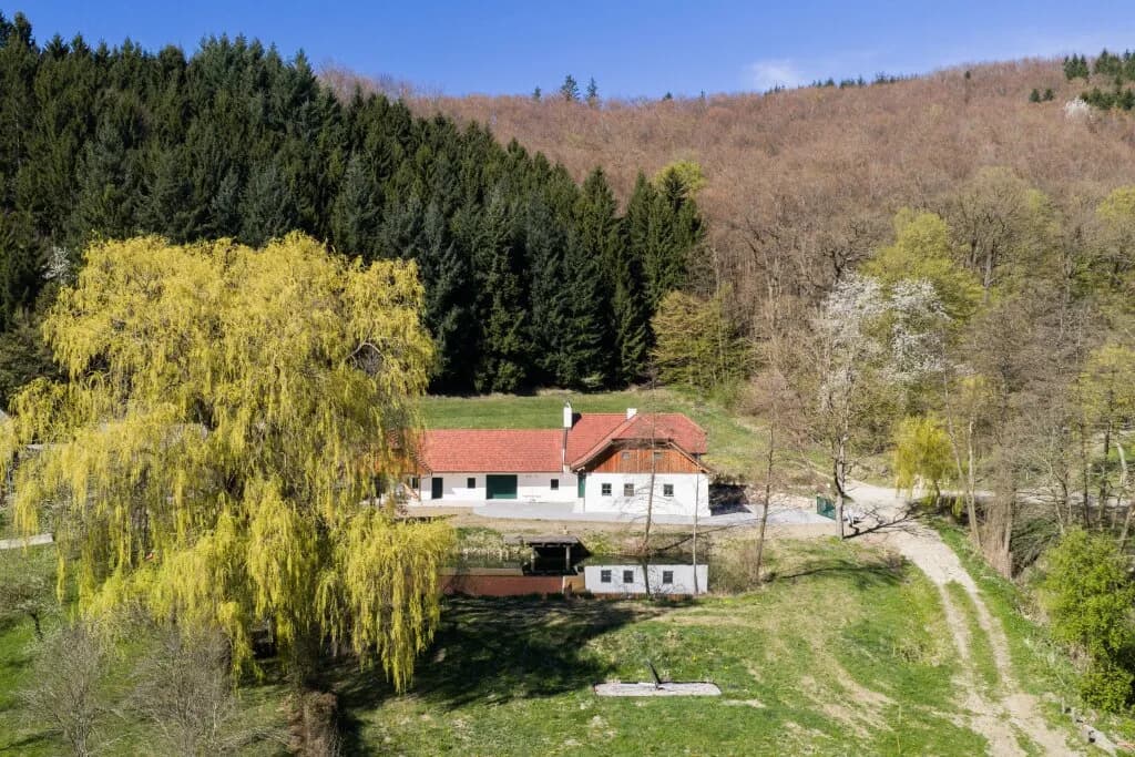 Immobilie mieten in Sankt Pölten Land – 124,5 m², € 2.750