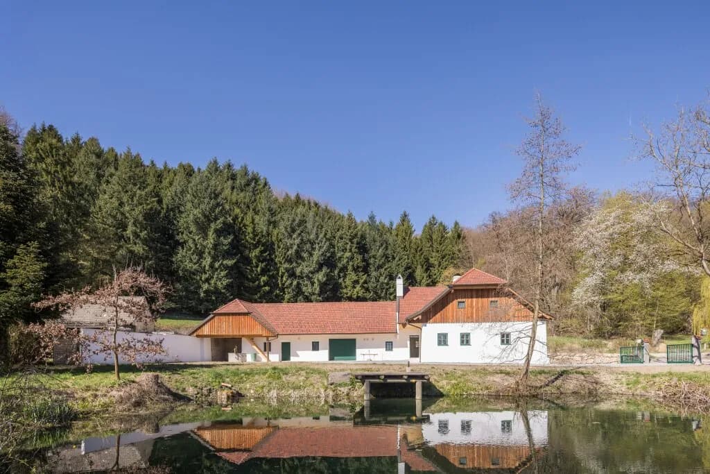 Immobilie mieten in Sankt Pölten Land – 124,5 m², € 2.750 – Bild 2 von 17