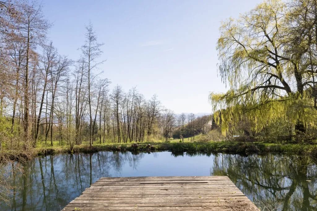 Immobilie mieten in Sankt Pölten Land – 124,5 m², € 2.750 – Bild 3 von 17