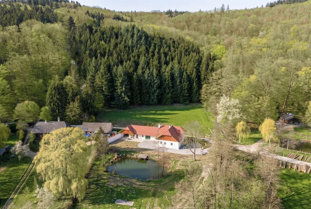 Immobilie mieten in Sankt Pölten Land – 124,5 m², € 2.750 – Bild 5 von 17