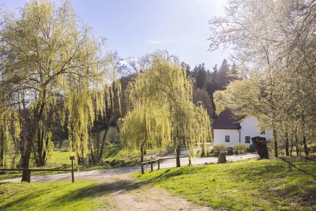 Immobilie mieten in Sankt Pölten Land – 124,5 m², € 2.750 – Bild 8 von 17