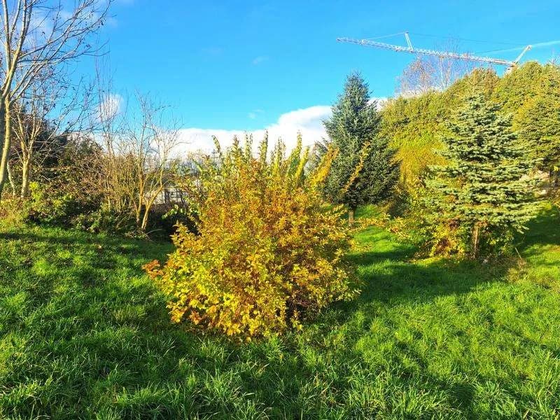 Grundstück kaufen in Gmunden – 1 576 m², € 319.000 – Bild 5 von 6