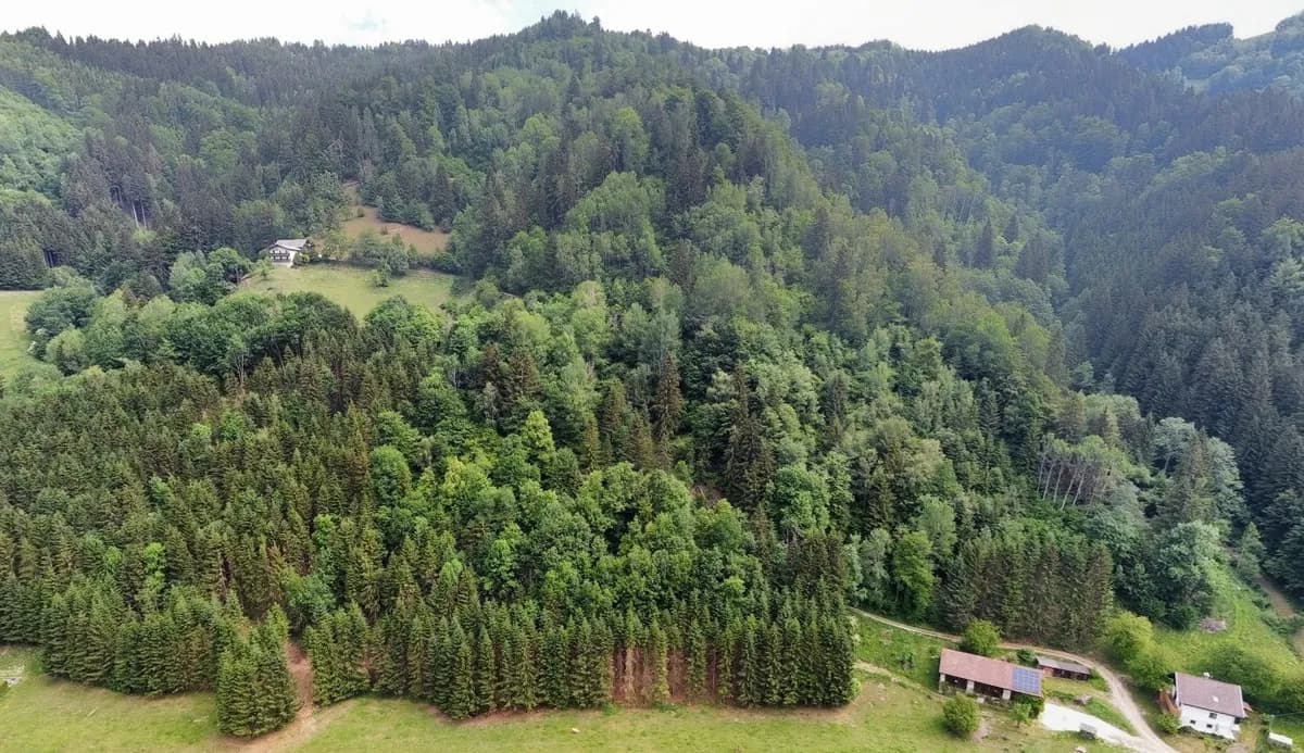 Grundstück kaufen in Wolfsberg – 1 m², € 2