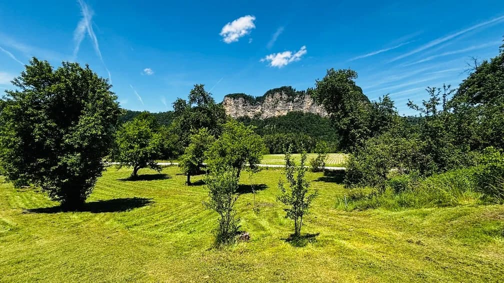 7-Zimmer-Gewerbeimmobilie kaufen in Klagenfurt Land – 215 m², € 689.000 – Bild 5 von 58