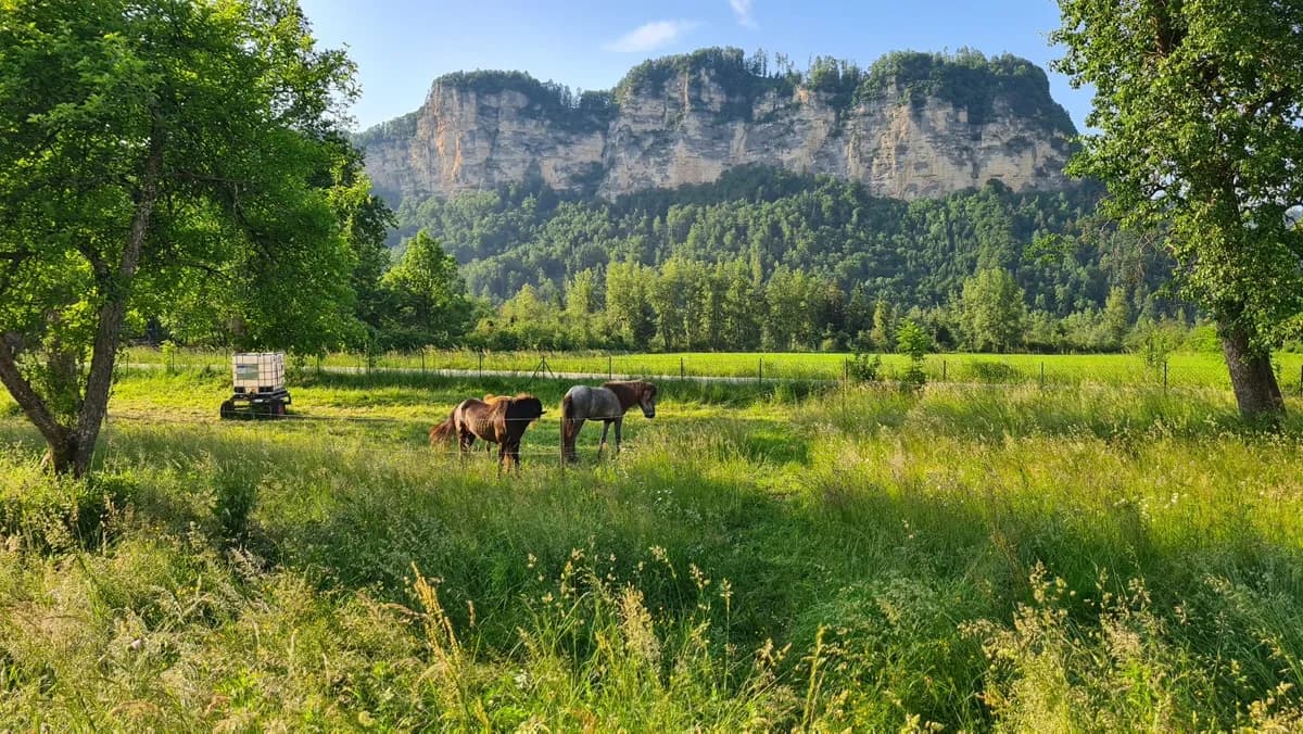 7-Zimmer-Gewerbeimmobilie kaufen in Klagenfurt Land – 215 m², € 689.000 – Bild 58 von 58