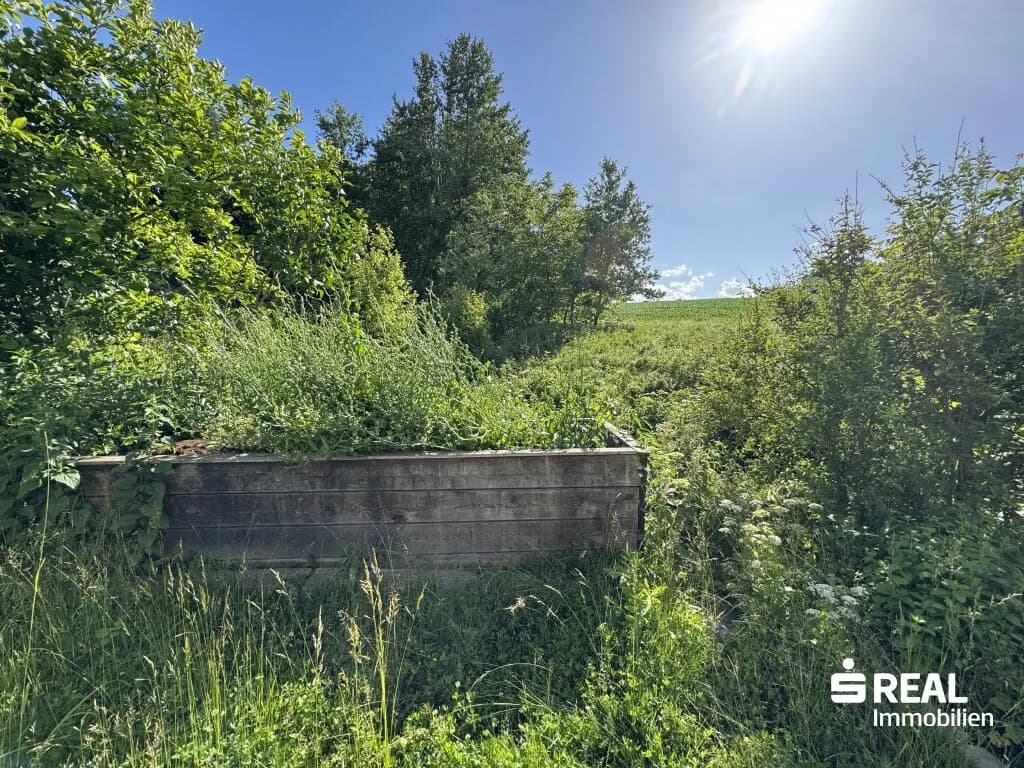 Haus kaufen in Eferding – 230 m², € 440.000 – Bild 17 von 17