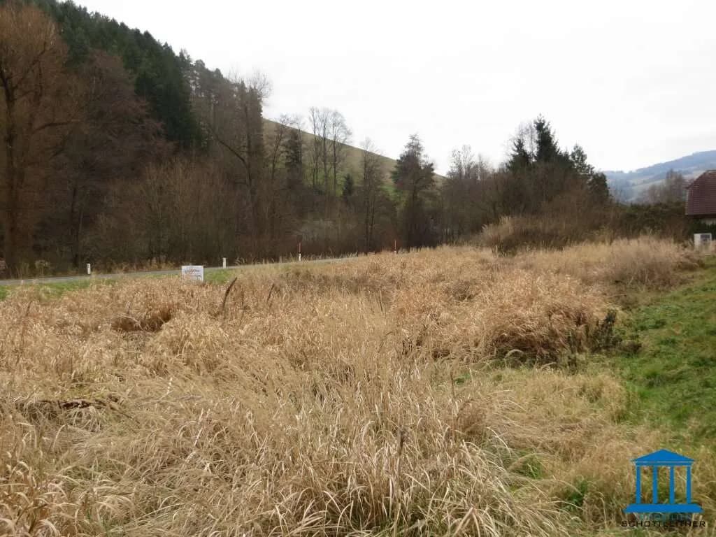 Grundstück kaufen in Wiener Neustadt Land – 802 m², € 48.000