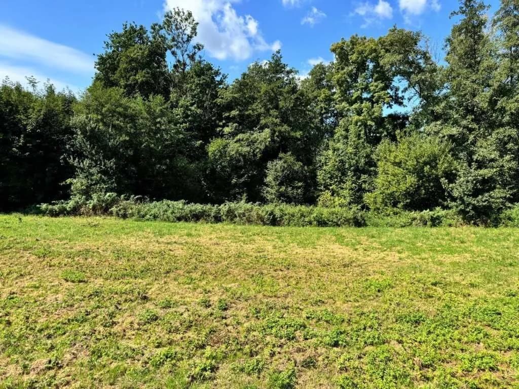 Grundstück kaufen in Schärding – 1 374 m², € 115.000 – Bild 2 von 4