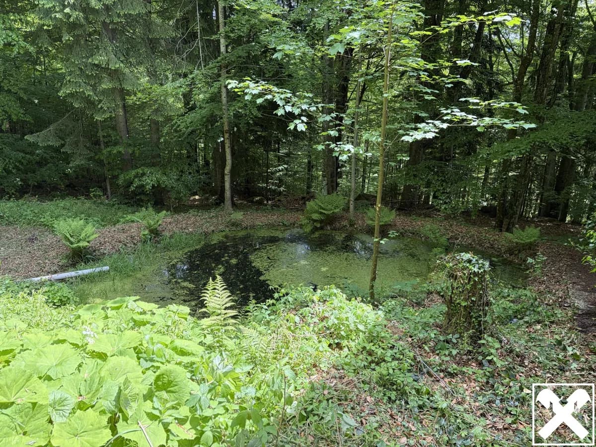 9-Zimmer-Haus kaufen in Rohrbach – 250 m², € 798.000 – Bild 34 von 38