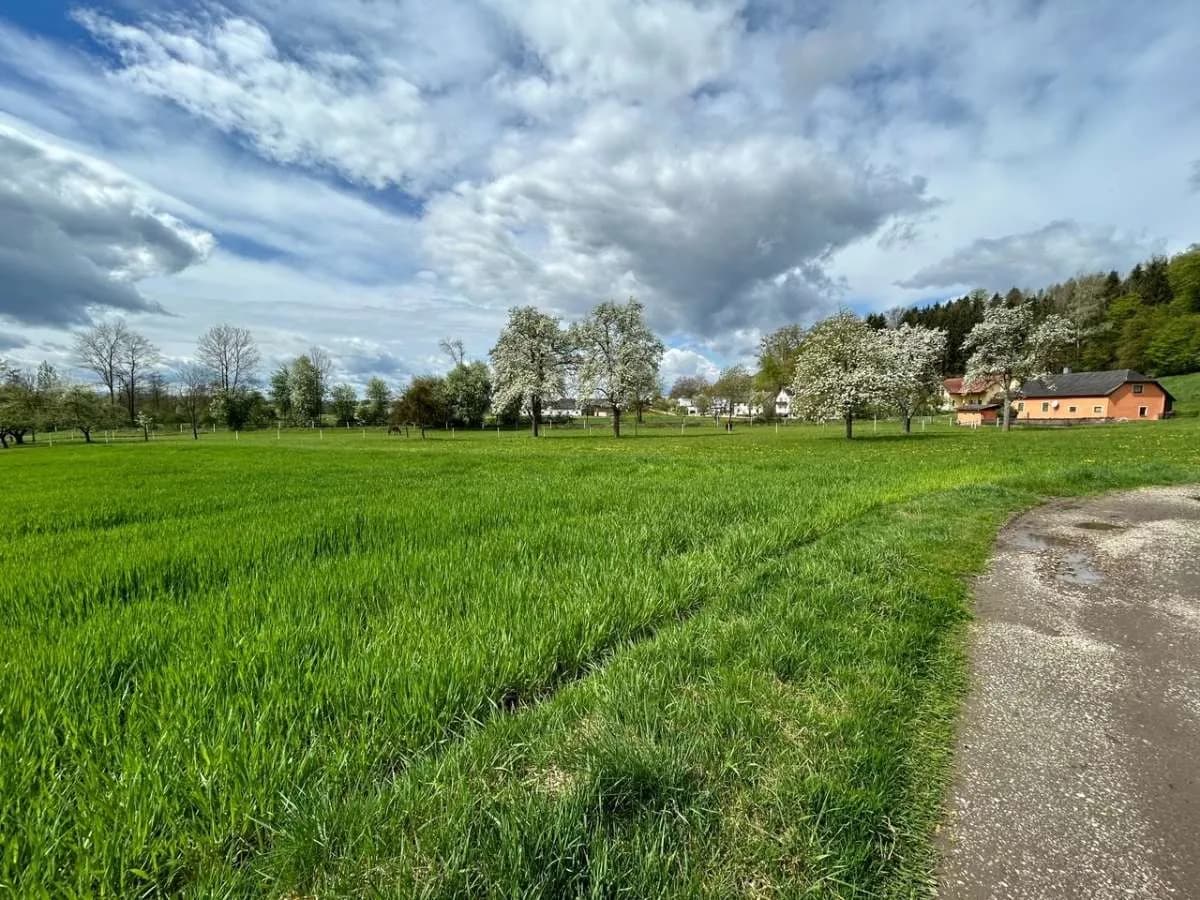 Grundstück kaufen in Perg – 678 m², € 70.476 – Bild 2 von 2
