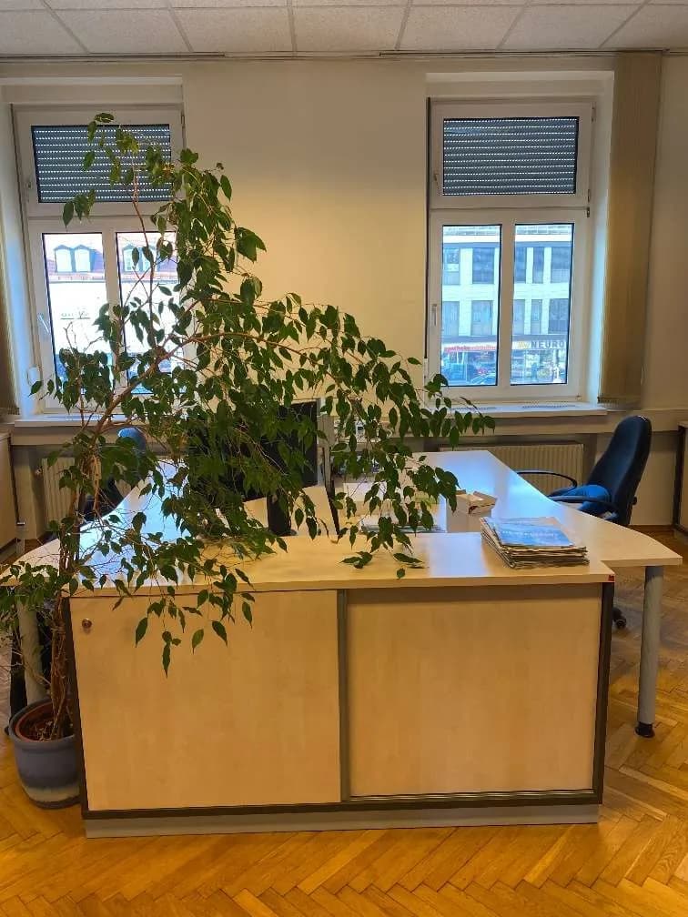 4-Zimmer-Gewerbeimmobilie mieten in Mistelbach – 127 m², € 2.527 – Bild 4 von 10