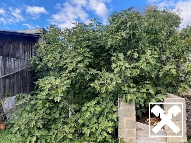 4-Zimmer-Haus kaufen in Güssing – 110 m², € 189.000 – Bild 16 von 22