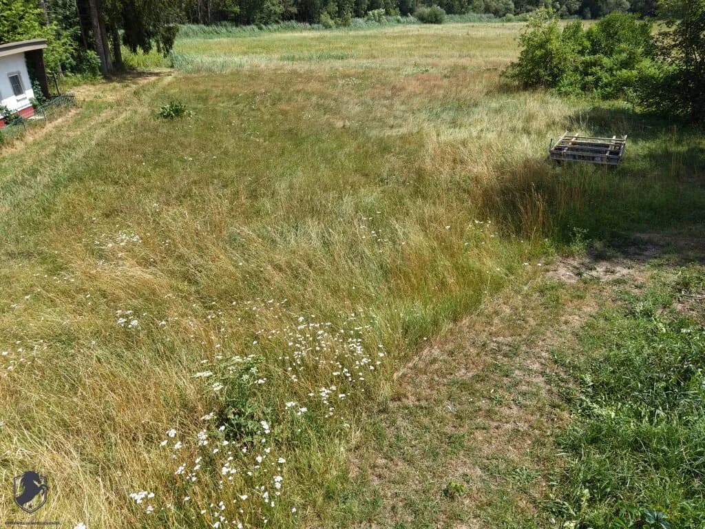 Grundstück kaufen in Waidhofen an der Thaya – 7 216 m², € 149.000 – Bild 10 von 17
