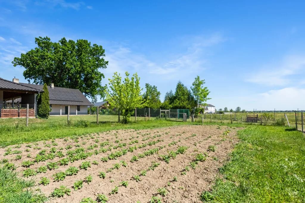 Haus kaufen in Korneuburg – 850 m², € 2.990.000 – Bild 9 von 12