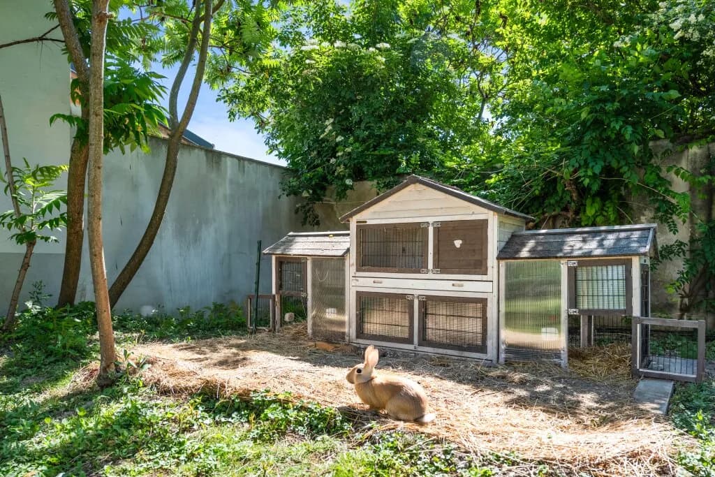 Haus kaufen in Korneuburg – 850 m², € 2.990.000 – Bild 11 von 12