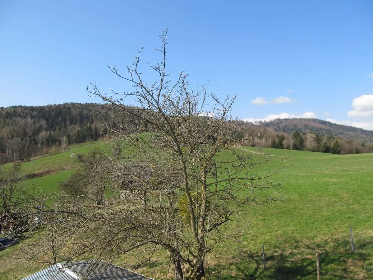 Immobilie kaufen in Deutschlandsberg – 75 m², € 355.000 – Bild 9 von 26
