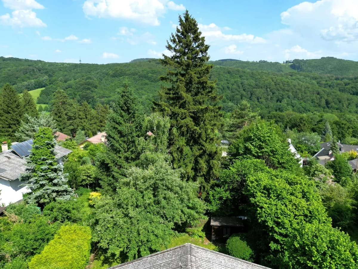 2-Zimmer-Haus kaufen in Sankt Pölten Land – 53 m², € 495.000 – Bild 21 von 22