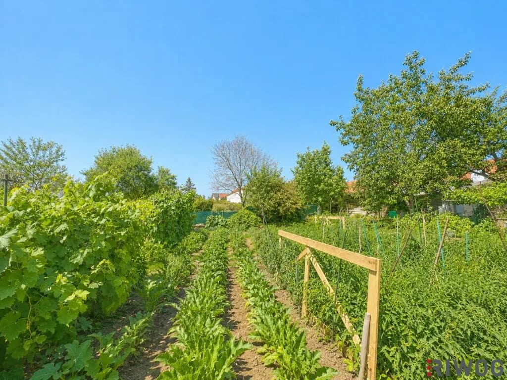 3-Zimmer-Haus kaufen in Gänserndorf – 170 m², € 390.000 – Bild 29 von 39