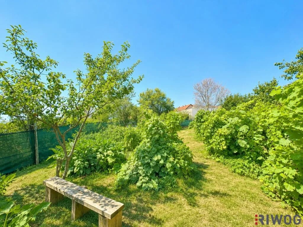 3-Zimmer-Haus kaufen in Gänserndorf – 170 m², € 390.000 – Bild 30 von 39
