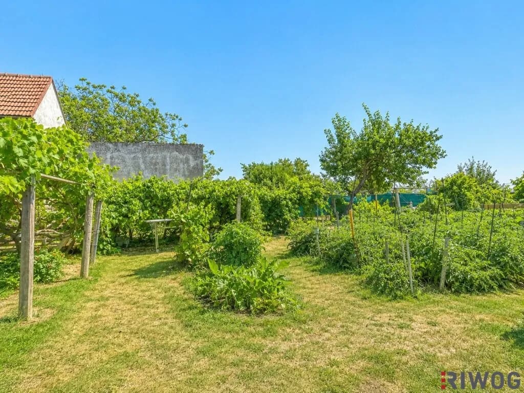 3-Zimmer-Haus kaufen in Gänserndorf – 170 m², € 390.000 – Bild 33 von 39
