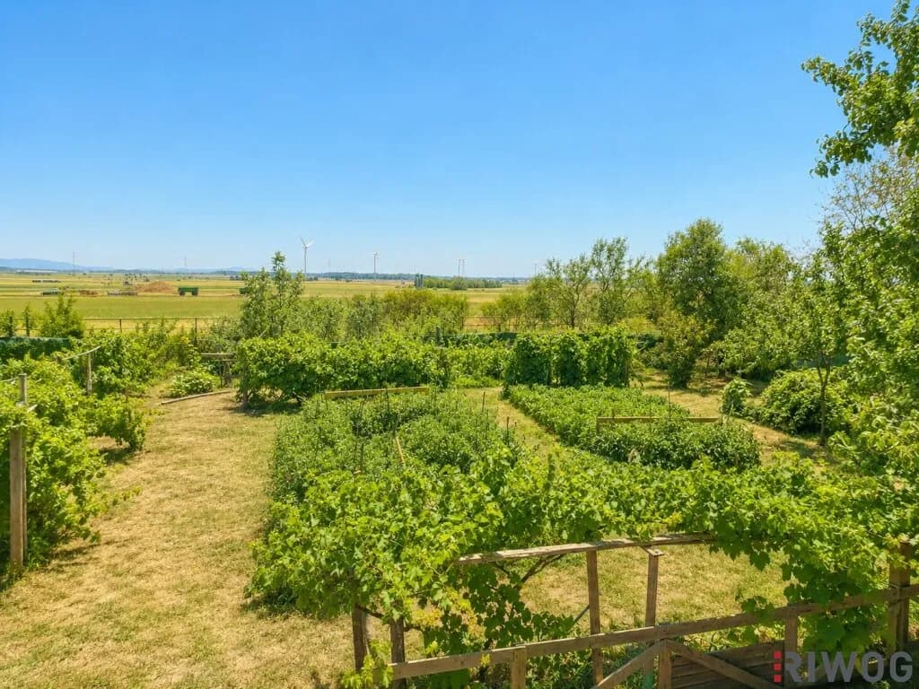 3-Zimmer-Haus kaufen in Gänserndorf – 170 m², € 390.000 – Bild 35 von 39