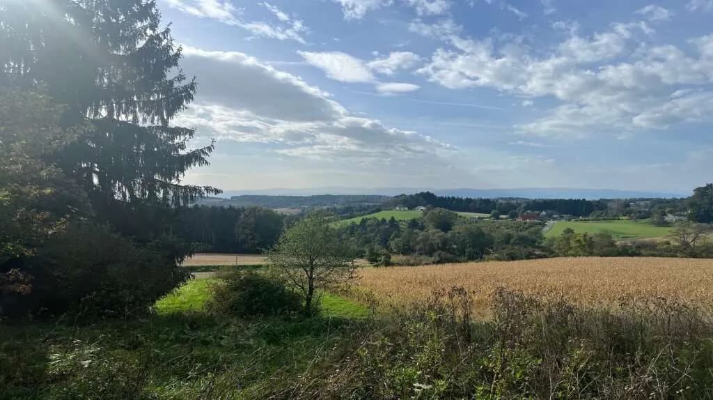 Grundstück kaufen in Leibnitz – 3 250 m², € 295.000