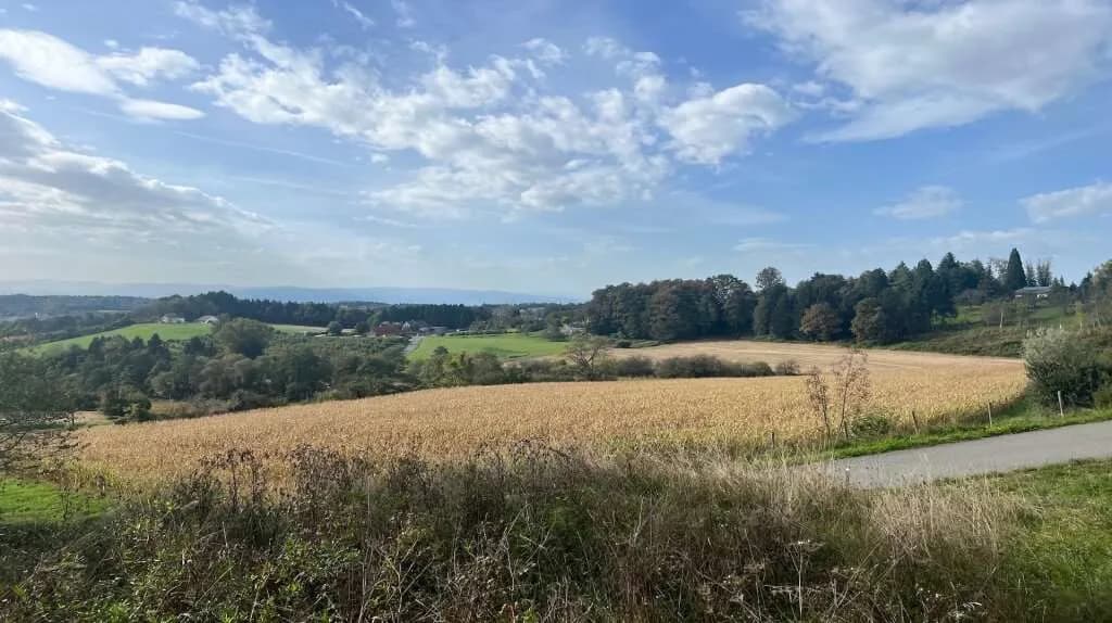 Grundstück kaufen in Leibnitz – 3 250 m², € 295.000 – Bild 2 von 5