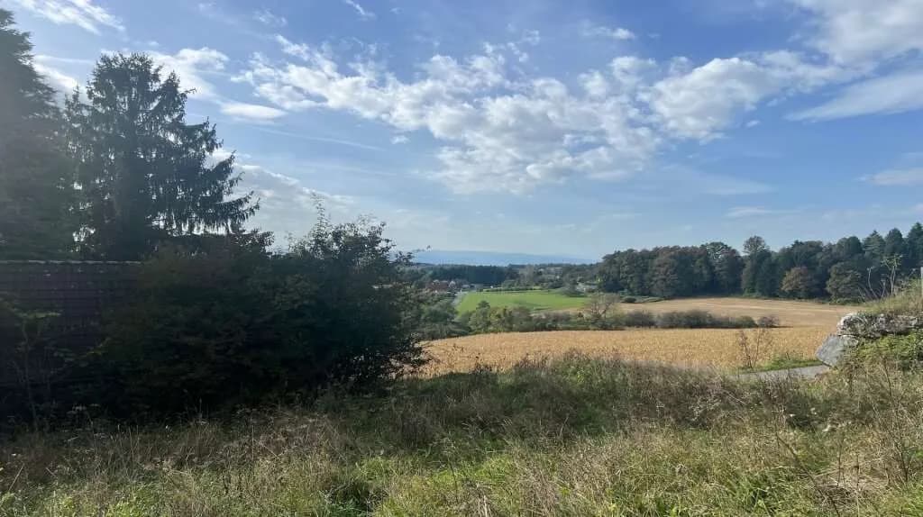 Grundstück kaufen in Leibnitz – 3 250 m², € 295.000 – Bild 3 von 5