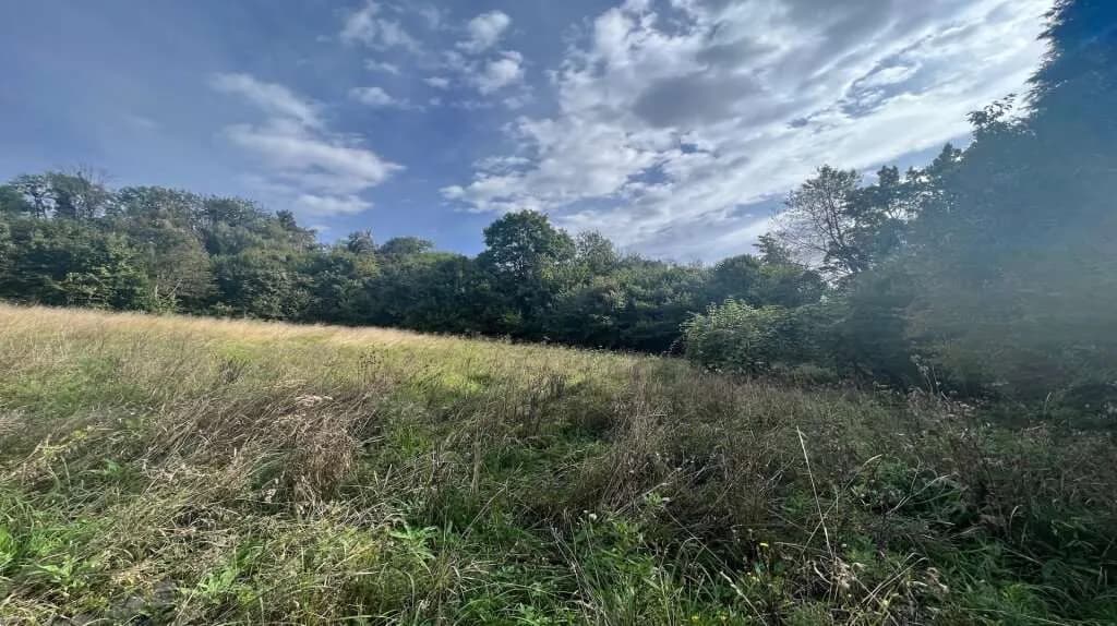 Grundstück kaufen in Leibnitz – 3 250 m², € 295.000 – Bild 4 von 5