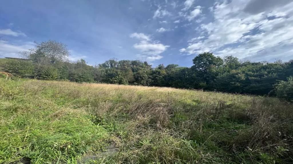 Grundstück kaufen in Leibnitz – 3 250 m², € 295.000 – Bild 5 von 5