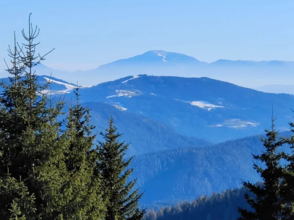 2-Zimmer-Wohnung kaufen in Feldkirchen – 48,49 m², € 342.978 – Bild 5 von 8