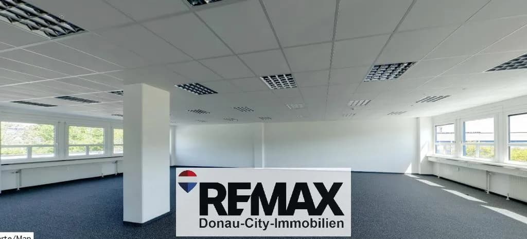 Gewerbeimmobilie mieten in Mödling – 226 m², € 14 – Bild 4 von 6