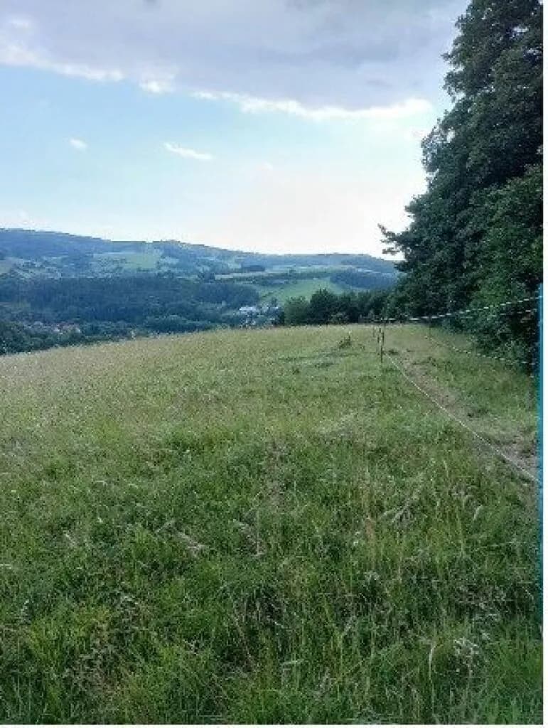 Grundstück kaufen in Sankt Pölten Land – 10 008 m², € 450.000