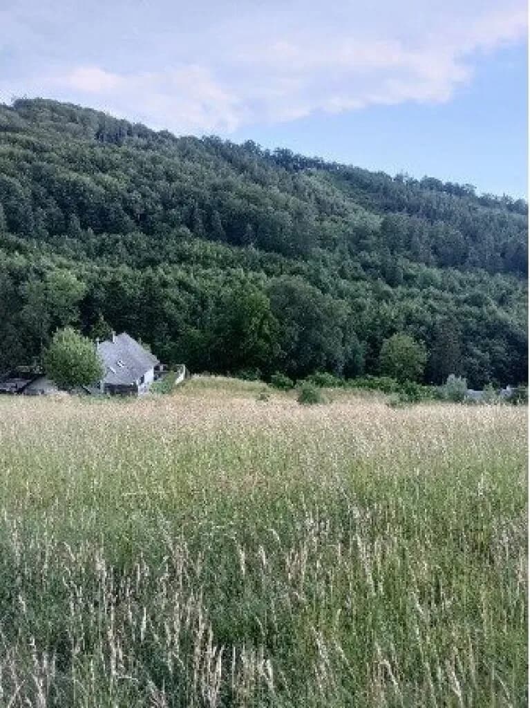 Grundstück kaufen in Sankt Pölten Land – 10 008 m², € 450.000 – Bild 3 von 16