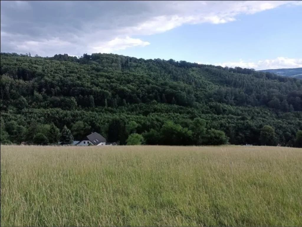 Grundstück kaufen in Sankt Pölten Land – 10 008 m², € 450.000 – Bild 4 von 16