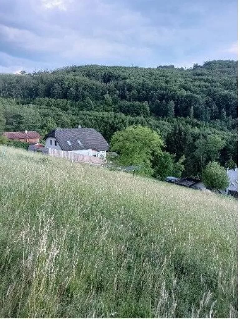 Grundstück kaufen in Sankt Pölten Land – 10 008 m², € 450.000 – Bild 5 von 16