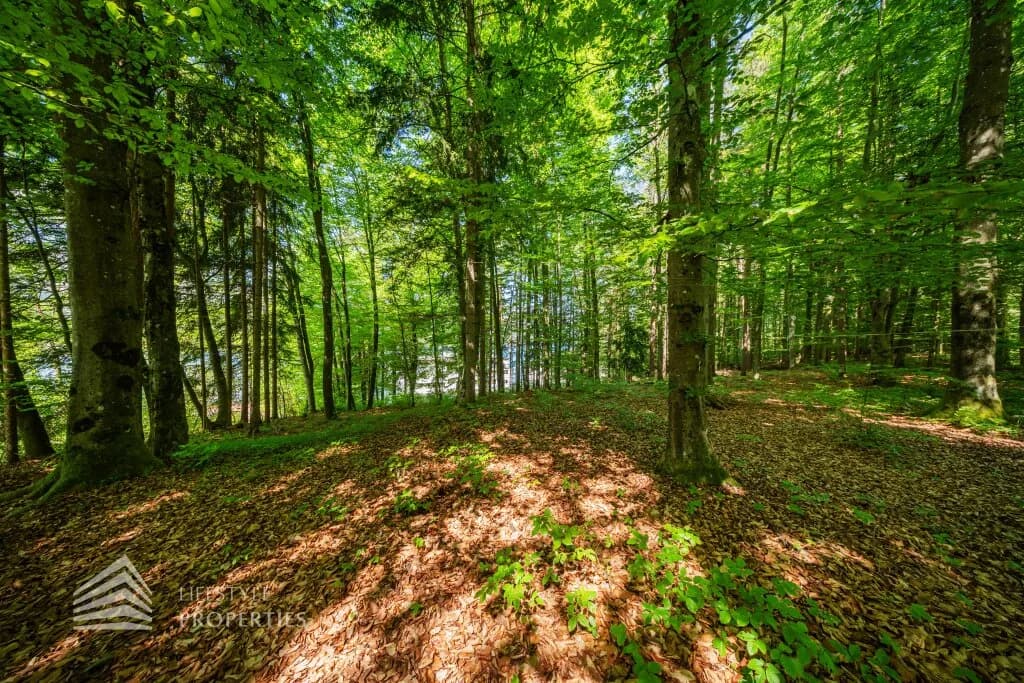 Immobilie kaufen in Villach Land – 6 432 m², € 4.900.000 – Bild 14 von 27