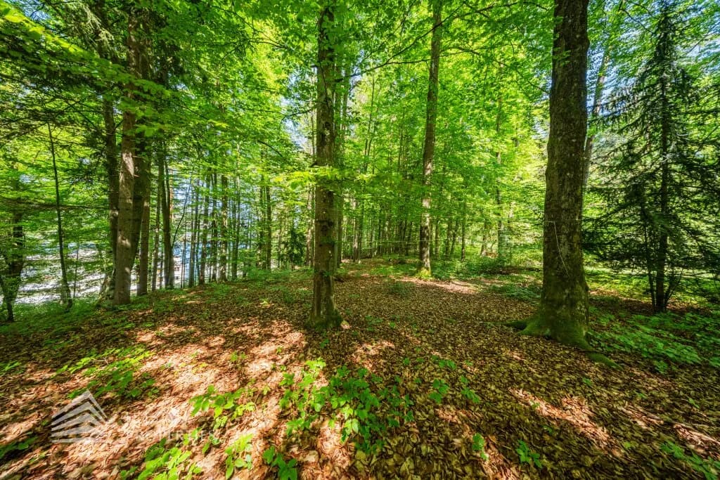 Immobilie kaufen in Villach Land – 6 432 m², € 4.900.000 – Bild 16 von 27