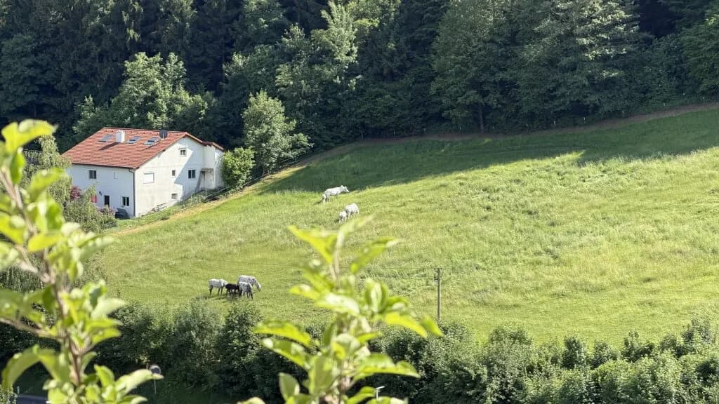 4-Zimmer-Haus kaufen in Urfahr-Umgebung – 132,91 m², € 499.000 – Bild 16 von 19