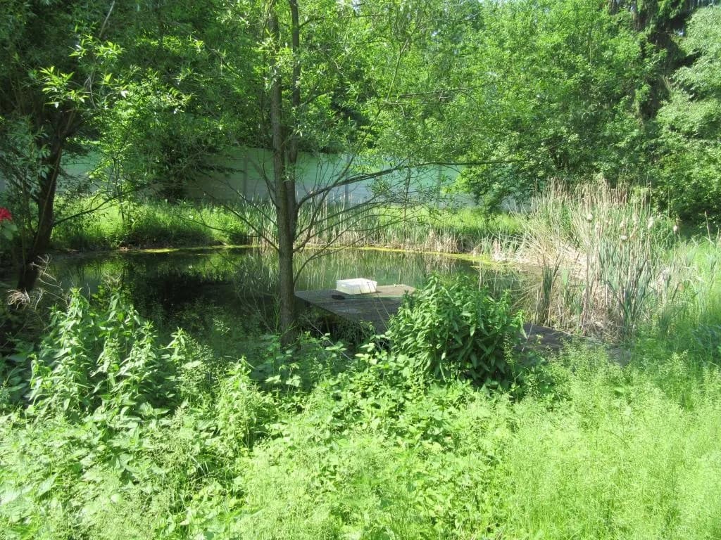 10-Zimmer-Immobilie kaufen in Baden – 360 m², € 2.500.000 – Bild 3 von 26