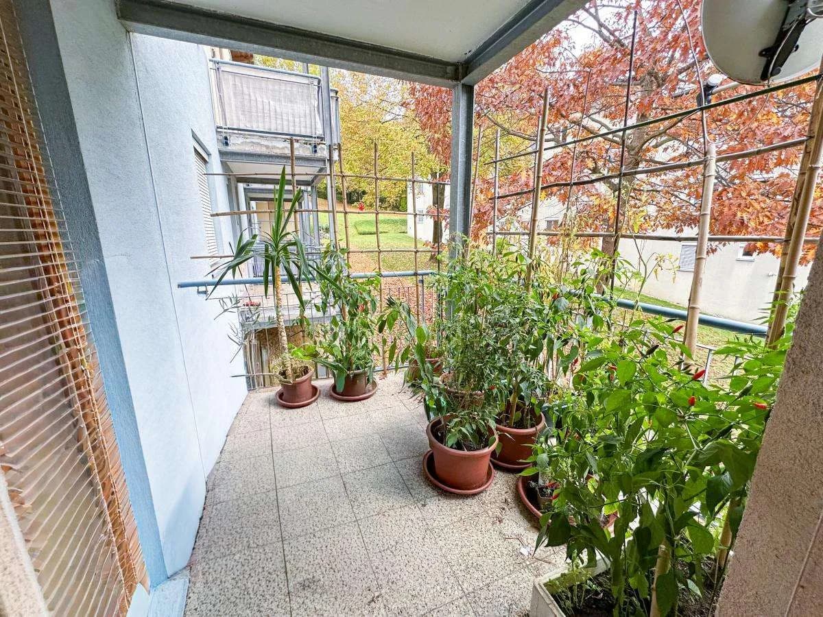 Wohnung kaufen in Südoststeiermark – 424,09 m², € 578.000 – Bild 17 von 32
