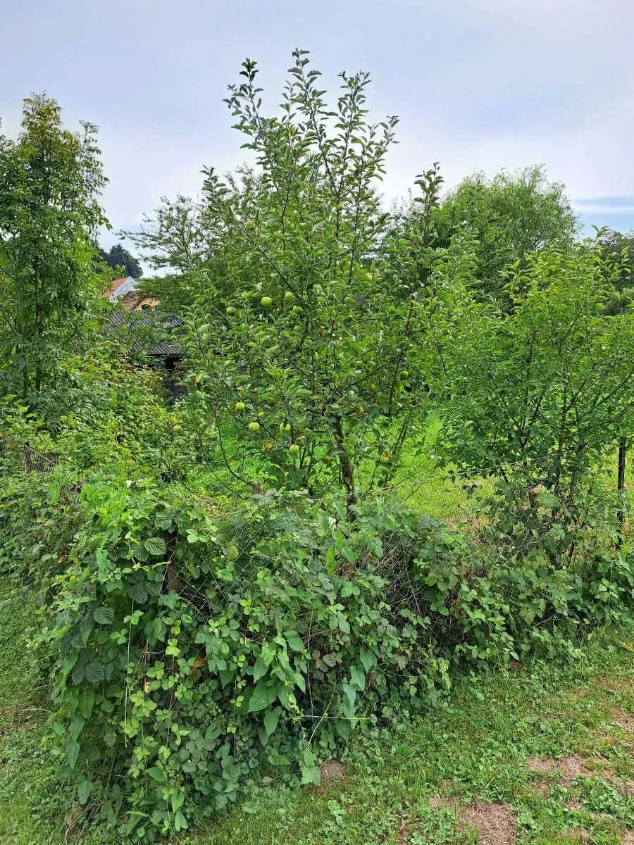 2-Zimmer-Haus kaufen in Südoststeiermark – 85 m², € 170.000 – Bild 5 von 22