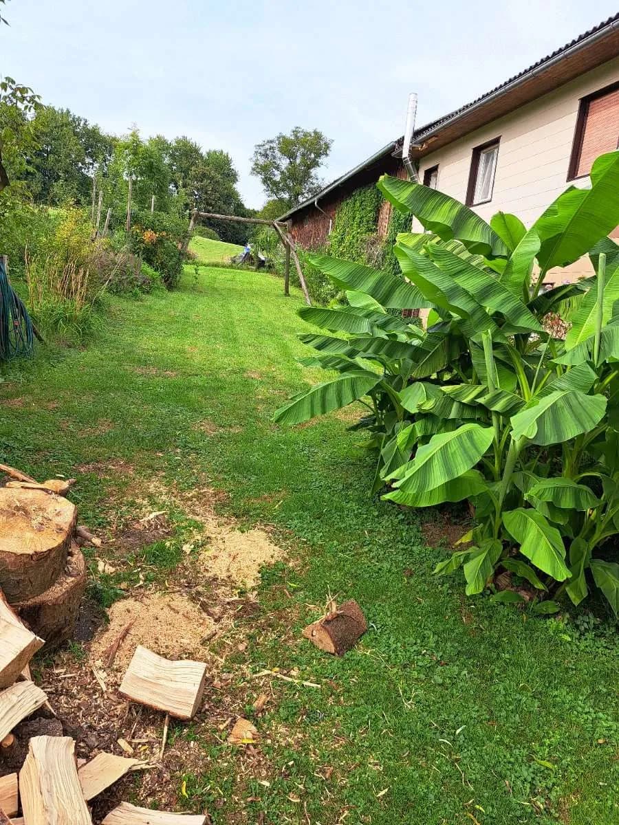 2-Zimmer-Haus kaufen in Südoststeiermark – 85 m², € 170.000 – Bild 7 von 22
