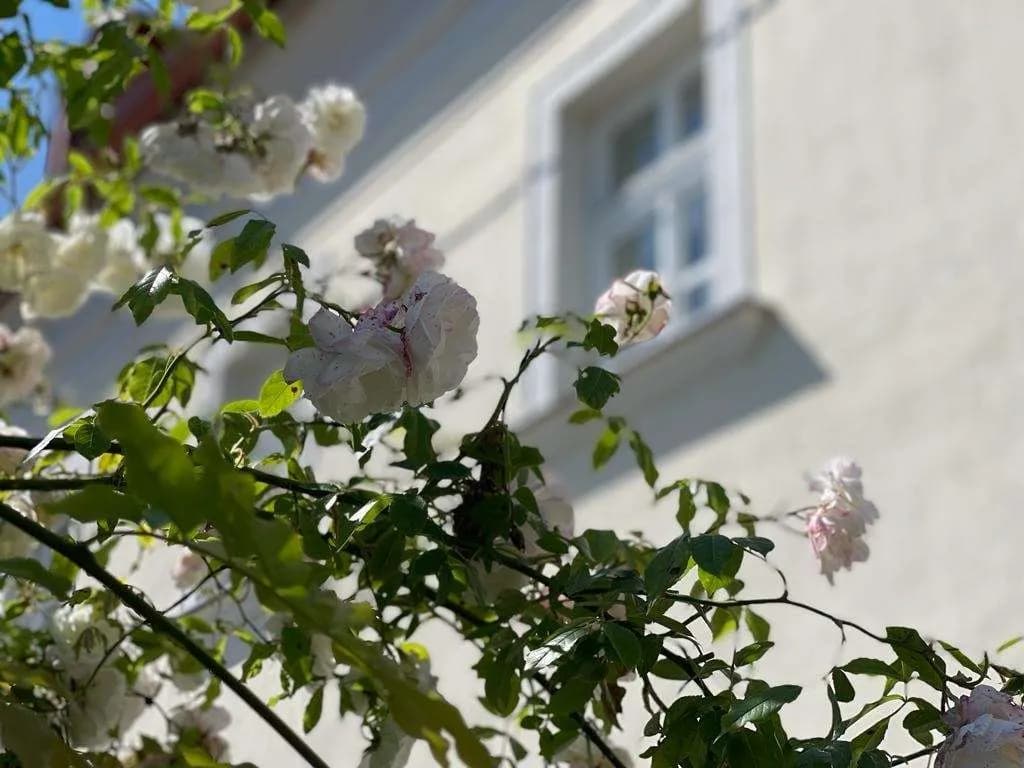 3-Zimmer-Wohnung mieten in Wien – 133 m², € 2.990 – Bild 7 von 9