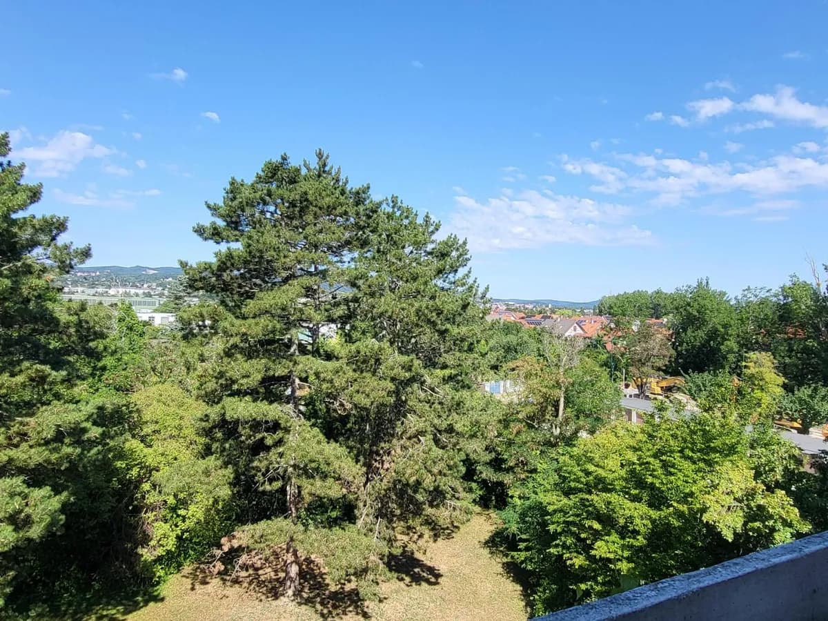 5-Zimmer-Wohnung kaufen in Mödling – 124 m², € 358.000 – Bild 2 von 14