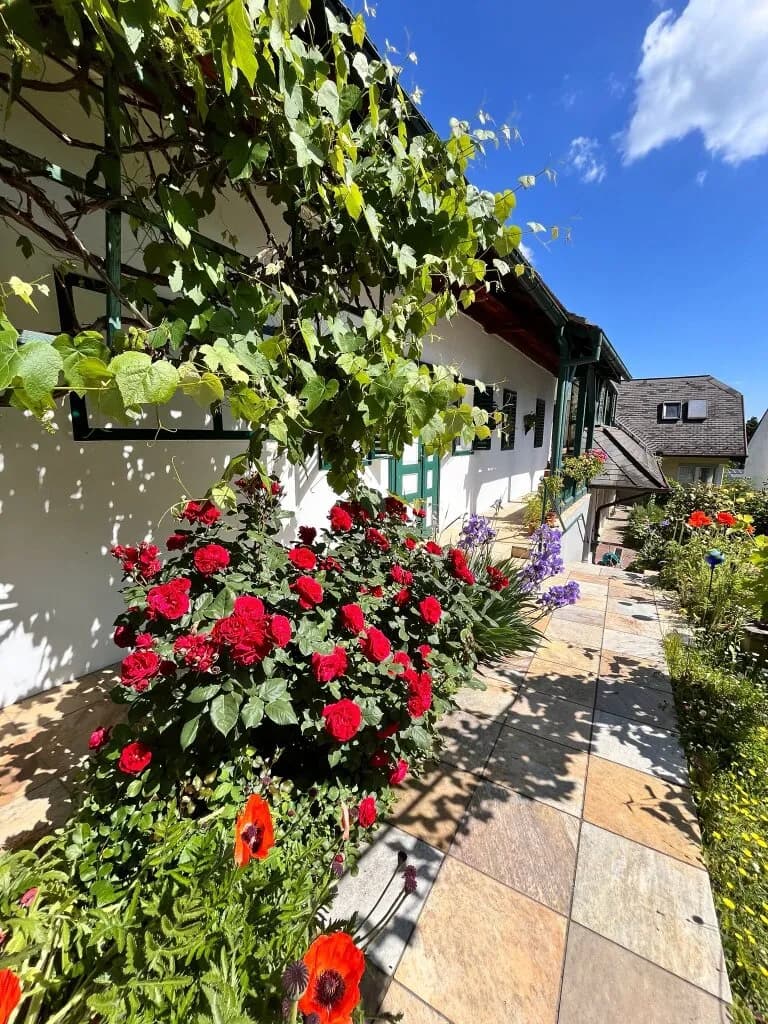 7-Zimmer-Haus kaufen in Oberwart – 219 m², € 520.000 – Bild 2 von 54