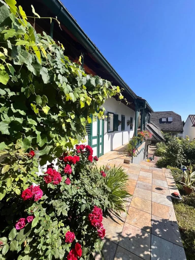 7-Zimmer-Haus kaufen in Oberwart – 219 m², € 520.000 – Bild 40 von 54