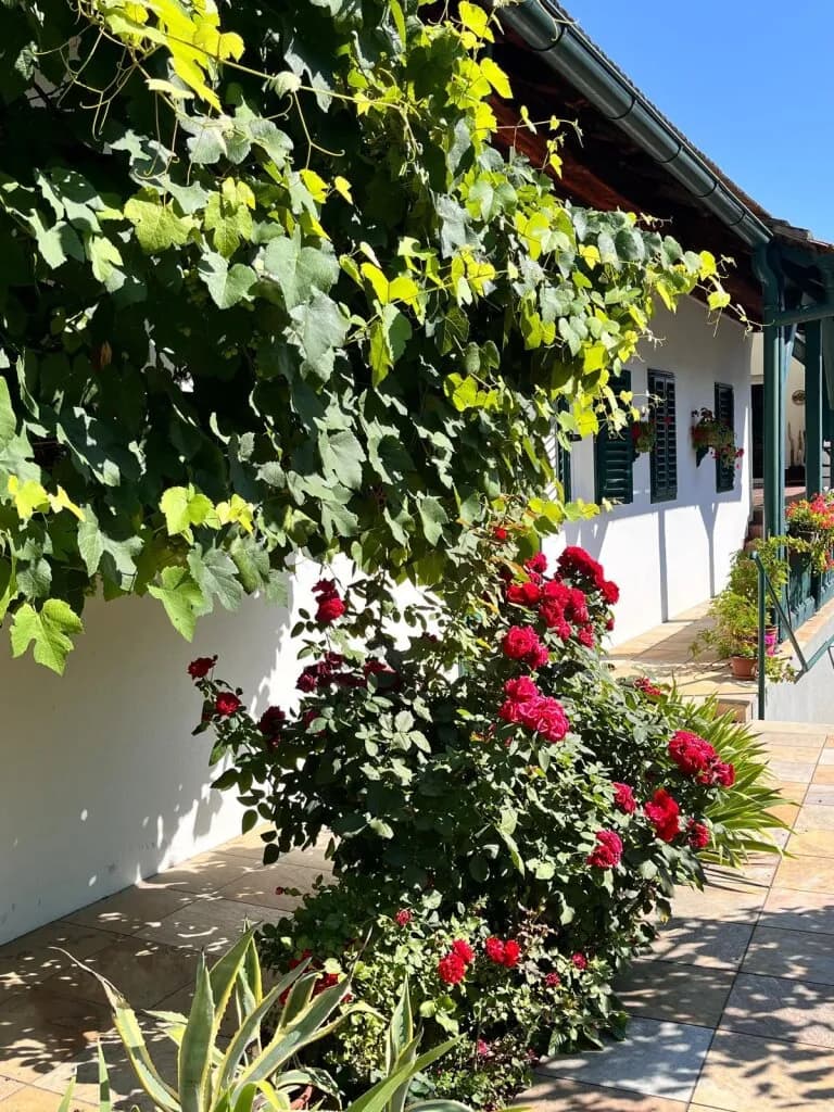7-Zimmer-Haus kaufen in Oberwart – 219 m², € 520.000 – Bild 42 von 54