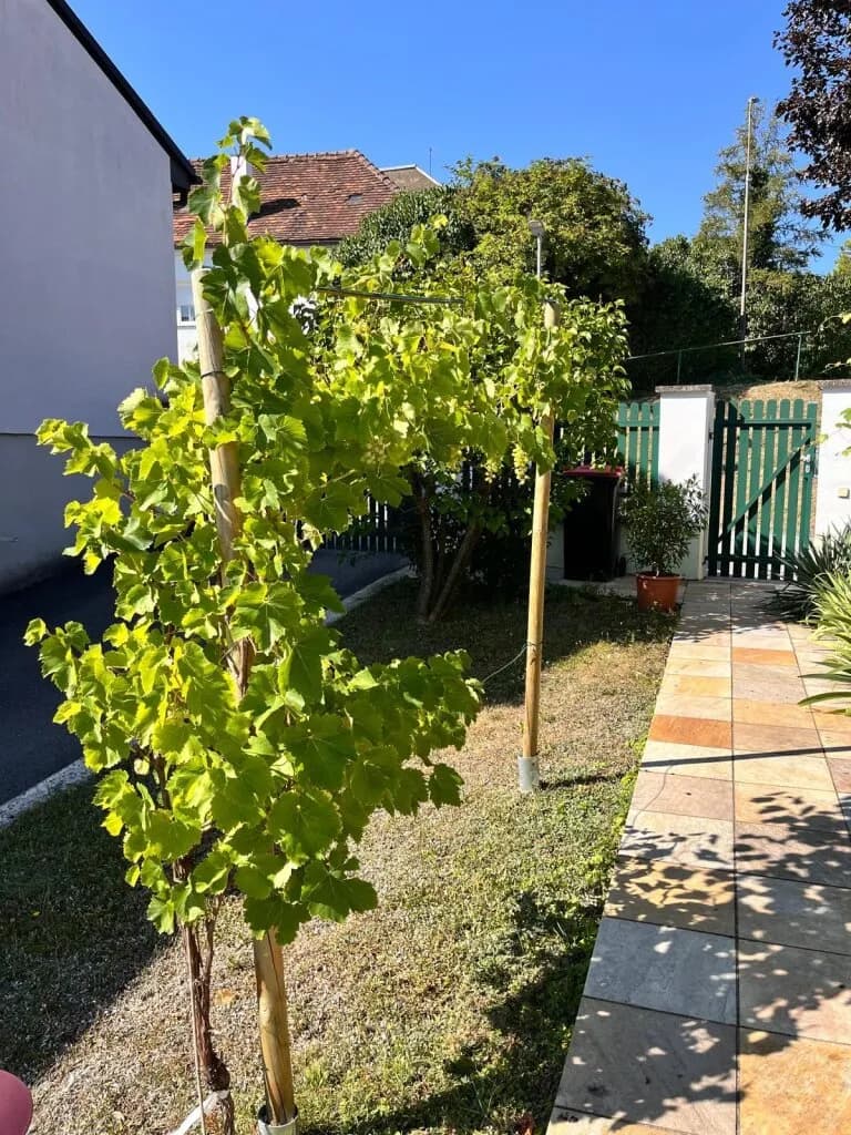7-Zimmer-Haus kaufen in Oberwart – 219 m², € 520.000 – Bild 44 von 54