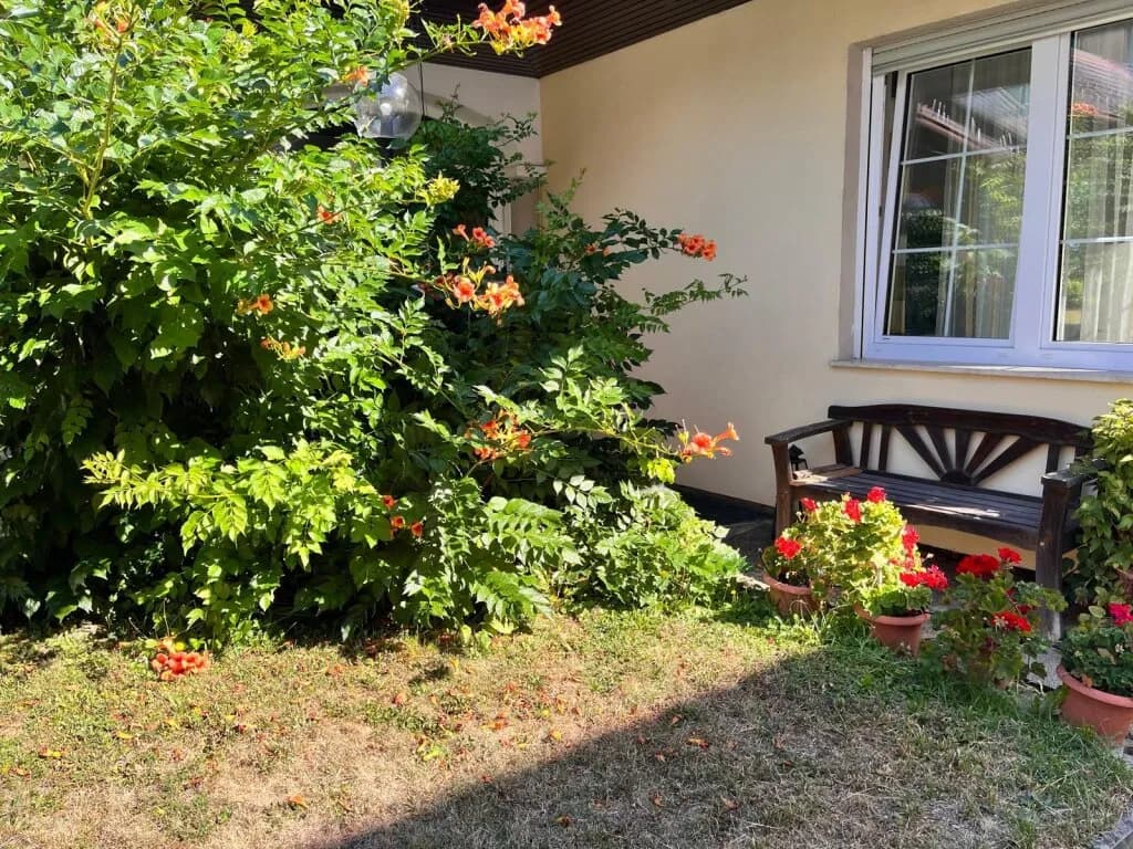 7-Zimmer-Haus kaufen in Oberwart – 219 m², € 520.000 – Bild 48 von 54
